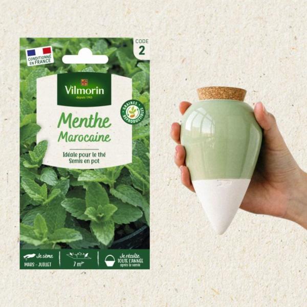 Kit de jardinage - Kit semis Menthe Marocaine + Olla Vert - face recto